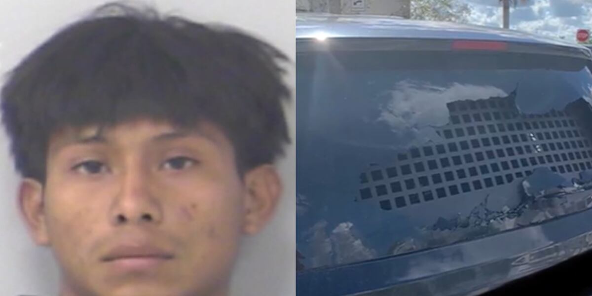 Isidro Throwing Rocks 19-year-old accused of throwing large rock through window of ICE ...