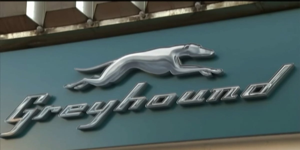 Greyhound Email Greyhound says it left Jackson due ‘to poor conditions’ and ‘lack of ...