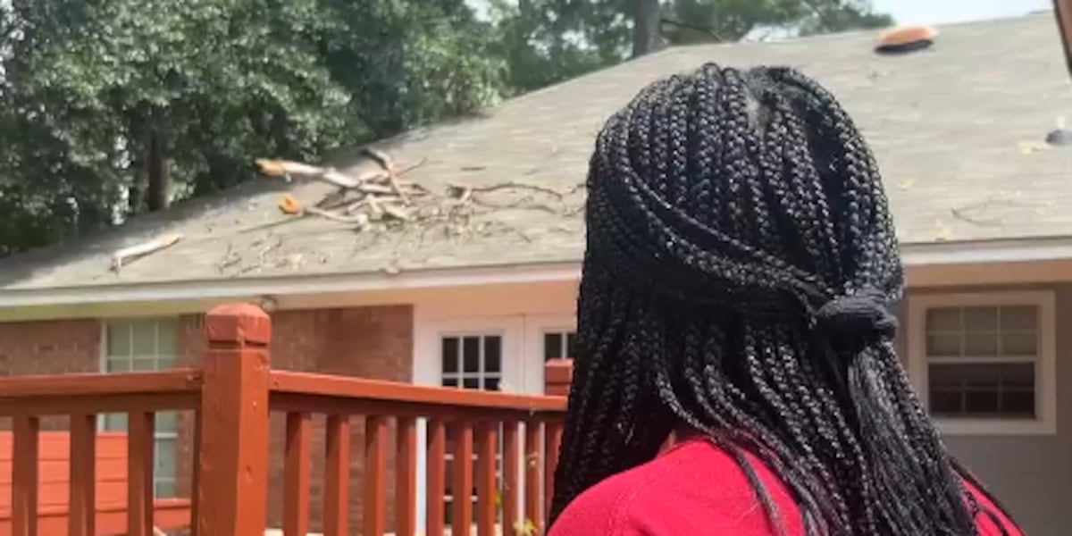 Neighbor's leaning dead tree damages house during storms