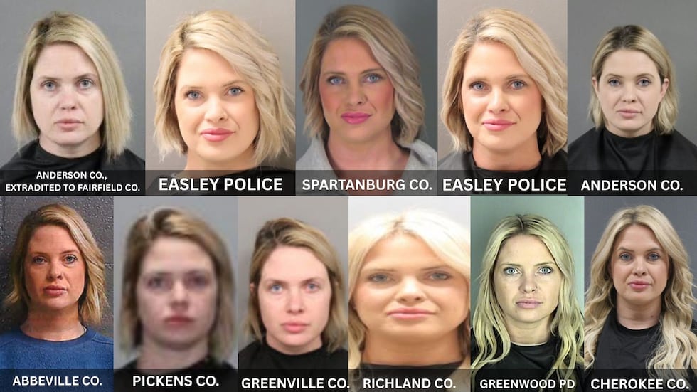 Pamela Brooke Schronce