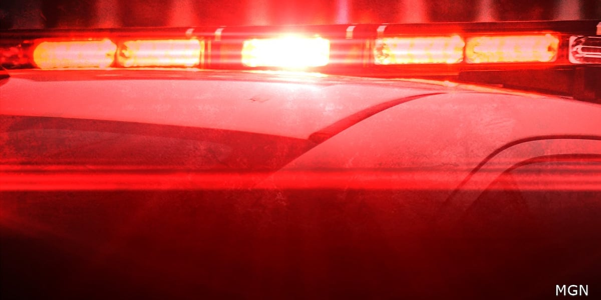 Woman, 83, found dead in garden
