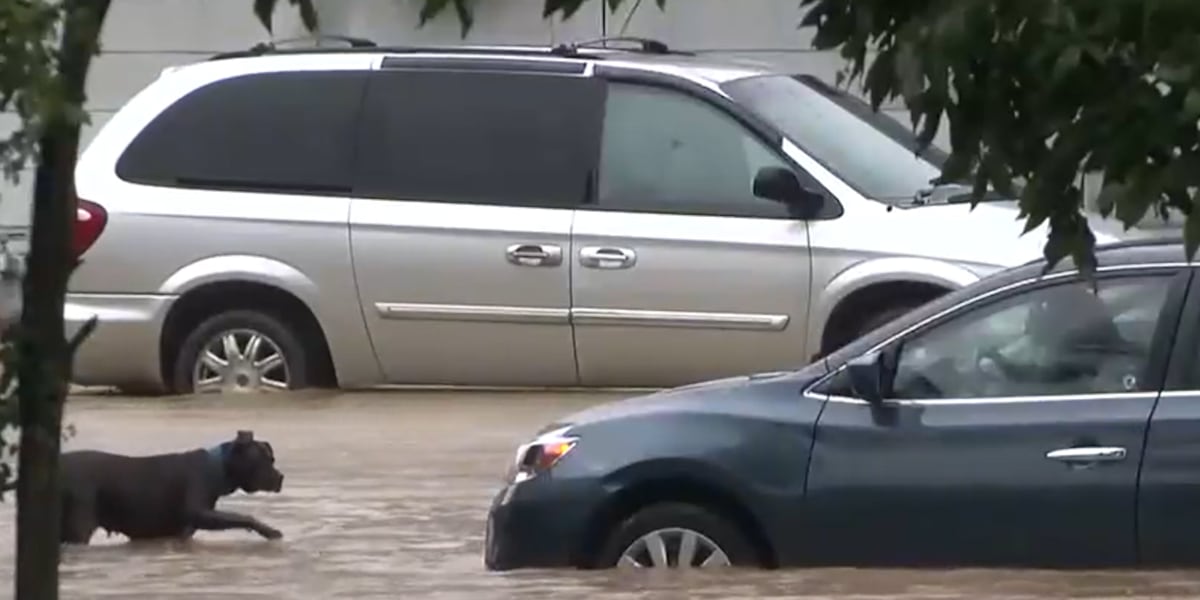 Federal approval advances Bear Creek flood project in Canton