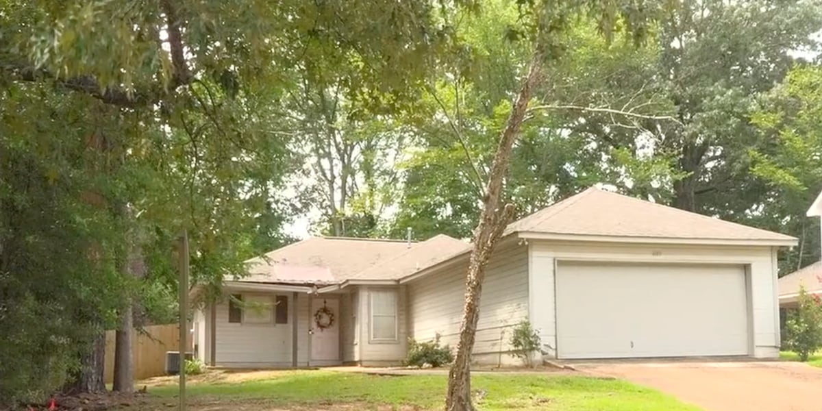 Neighbor's tree leaning over house is removed by city after months of waiting