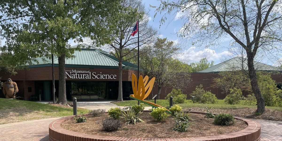 Mississippi Museum of Natural Science renovations wrapping up, modernizing...