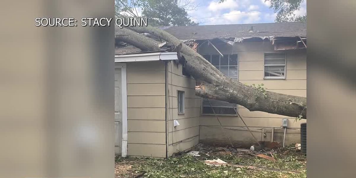 Tree service drops tree on house, now dodging owner’s calls