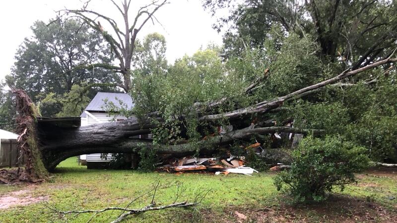 Storm damage in Natchez