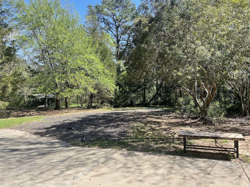 The future location of the treehouse play structure behind the Mississippi Museum of Natural...