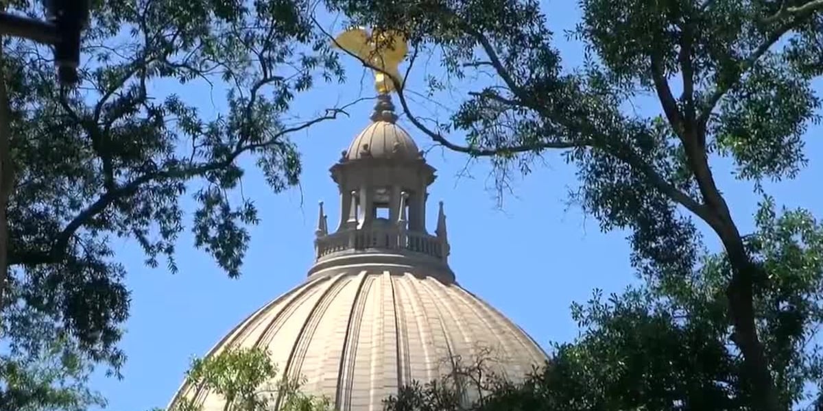 Mississippi redistricting committees in place, but no new maps drawn