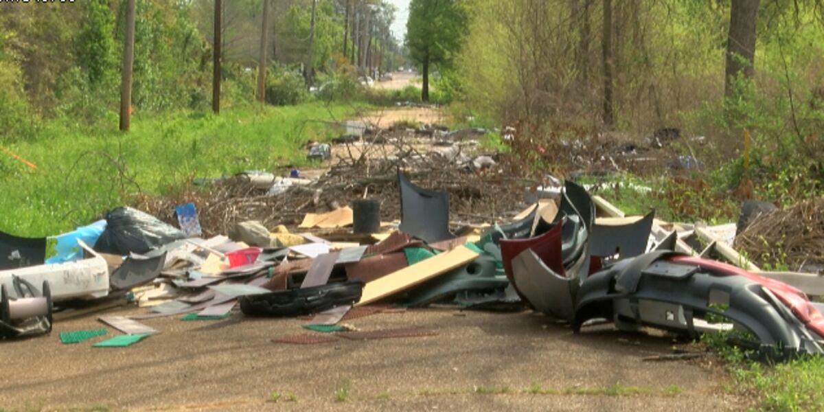 Jackson Rummage Mayor Lumumba looking into hiring homeless to pick up garbage around ...