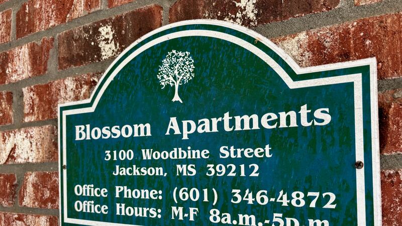 The water meter at Blossom Apartments was locked after it was illegally turned back on...