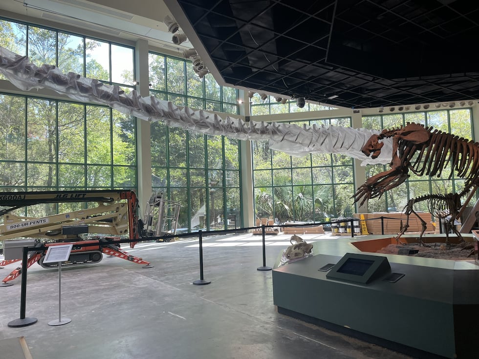 Construction underway at the Mississippi Museum of Natural Science.