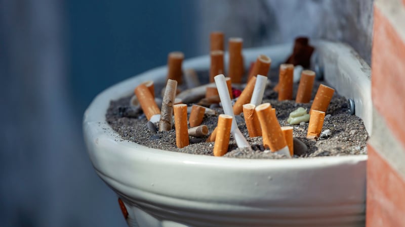 cigarettes and indigestion Smoking does not just impact your lungs. It alters your internal systems in ways that are often overlooked. The chemicals in cigarette smoke disrupt the balance of your gut microbiome, increase inflammation, cigarettes and indigestion Smoking does not just impact your lungs. It alters your internal systems in ways that are often overlooked. The chemicals in cigarette smoke disrupt the balance of your gut microbiome, increase inflammation,