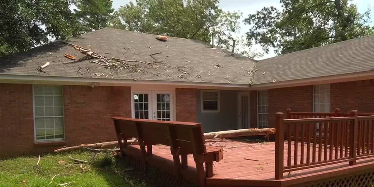 Neighbor's dead tree falls on her own roof while tree leans over the property