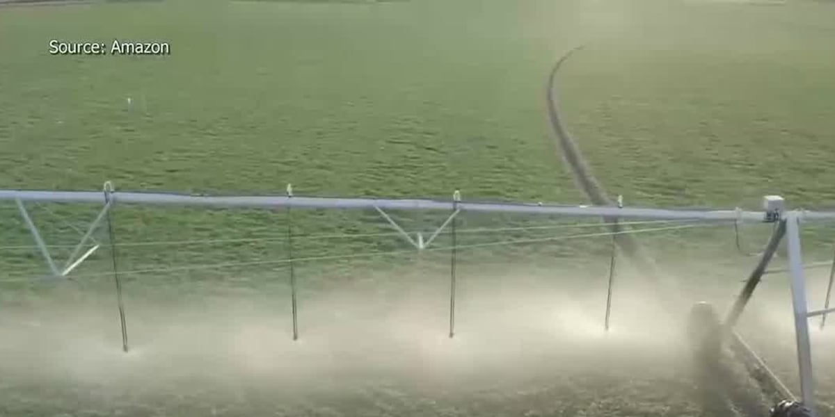 New AI-powered crop irrigation system coming to Mississippi