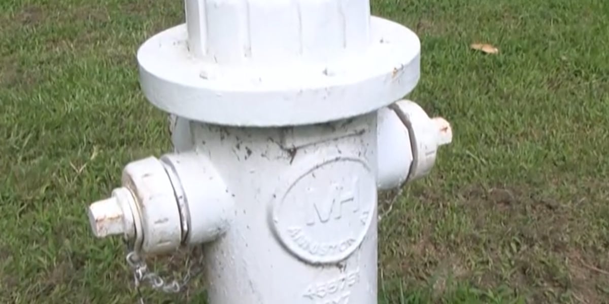 Jackson fire hydrant concerns raised at City Council meeting