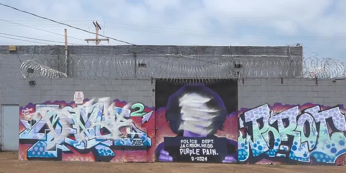 Downtown mural featuring musical icon Prince and other artwork vandalized